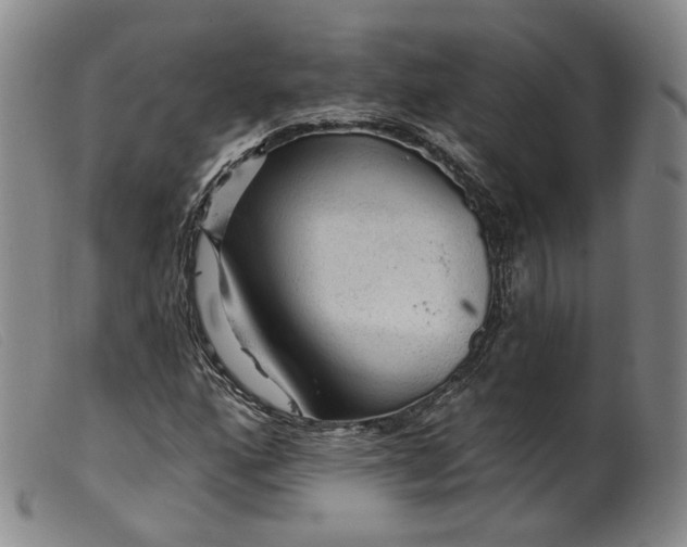 X0000099451160200805231734