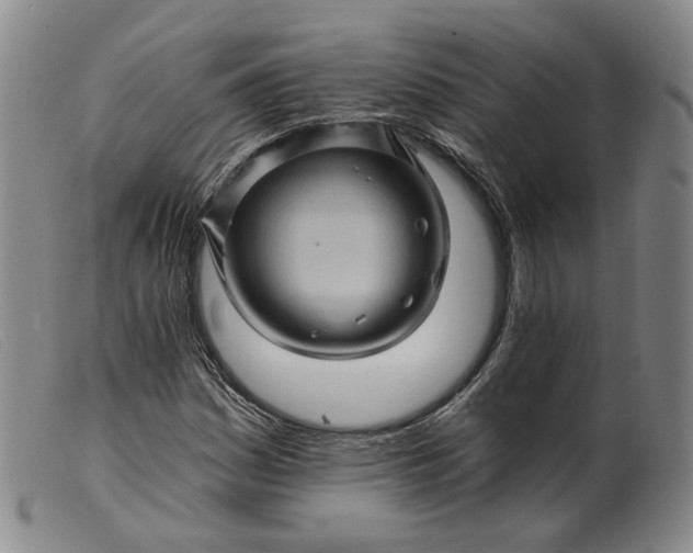 X0000099451161200805231734