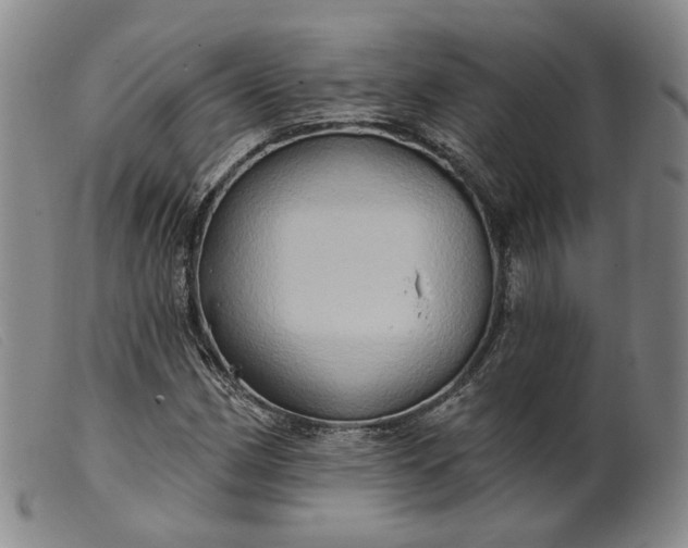 X0000099451162200805231734