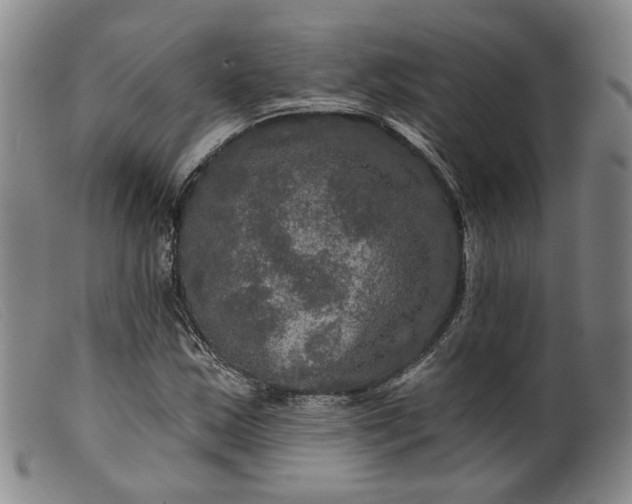 X0000099451163200805231734