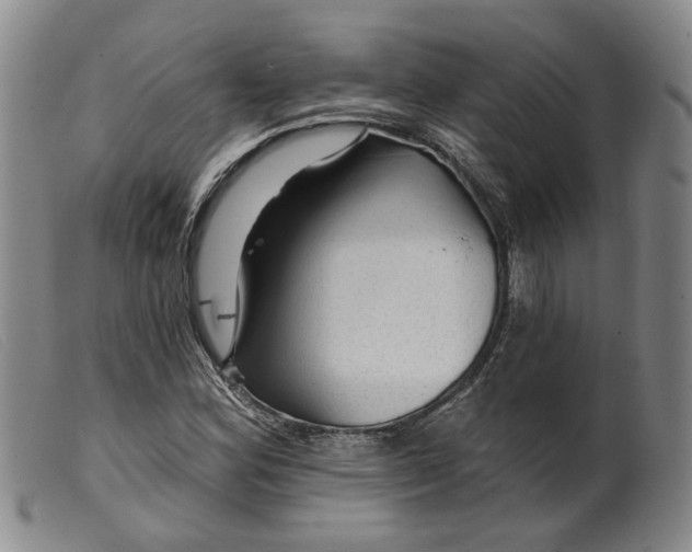 X0000099451164200805231734