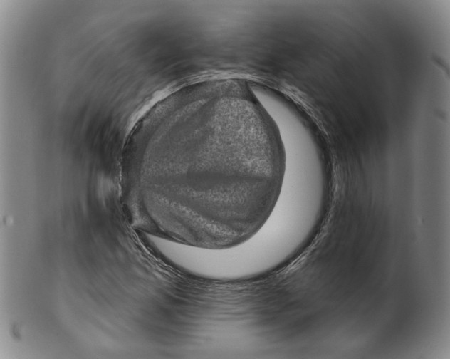 X0000099451165200805231734