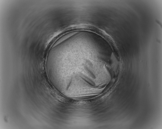 X0000099451166200805231734