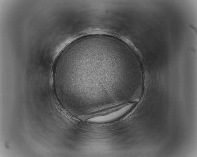 X0000099451167200805231734