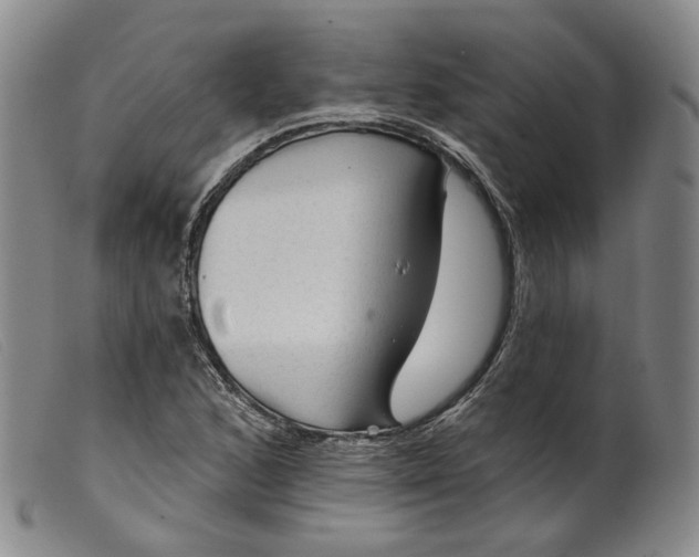 X0000099451168200805231734