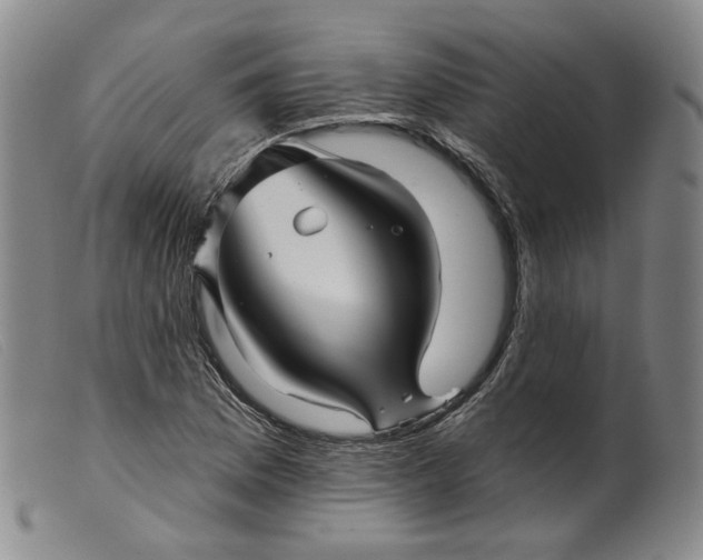 X0000099451169200805231734