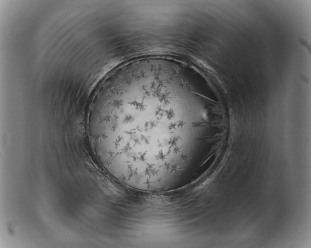 X0000099451170200805231734