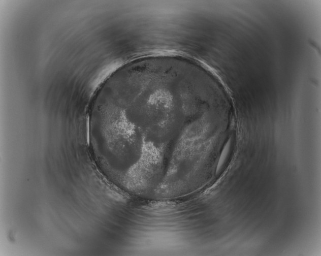 X0000099451171200805231734