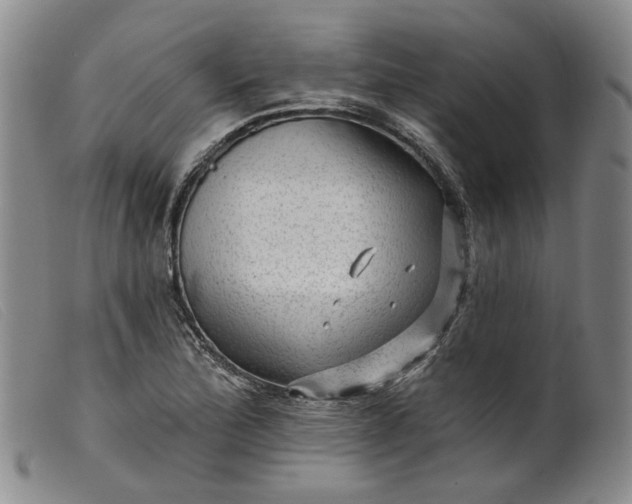 X0000099451172200805231734