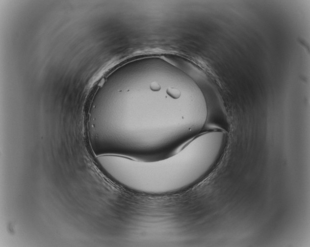 X0000099451173200805231734