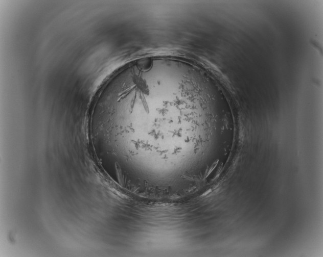 X0000099451174200805231734