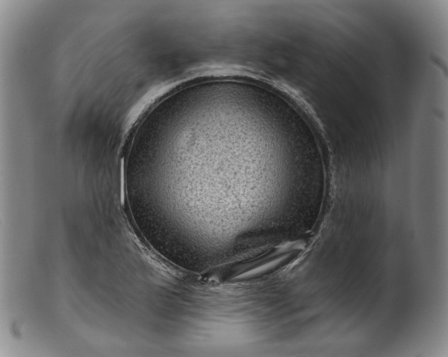 X0000099451175200805231734