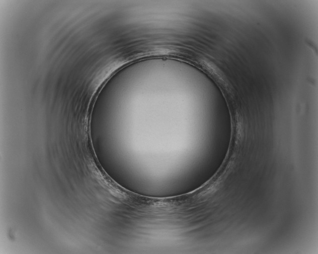 X0000099451178200805231734