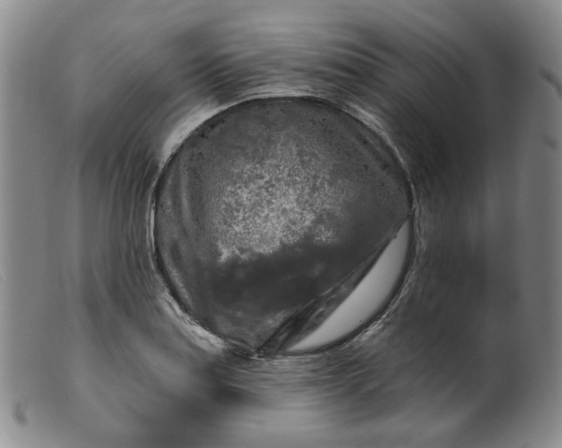 X0000099451179200805231734