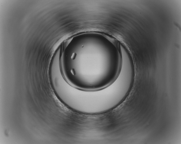 X0000099451181200805231734