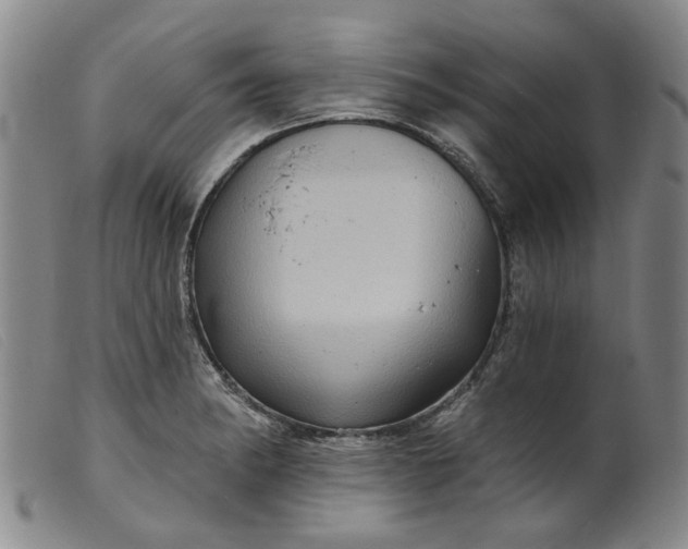 X0000099451182200805231734