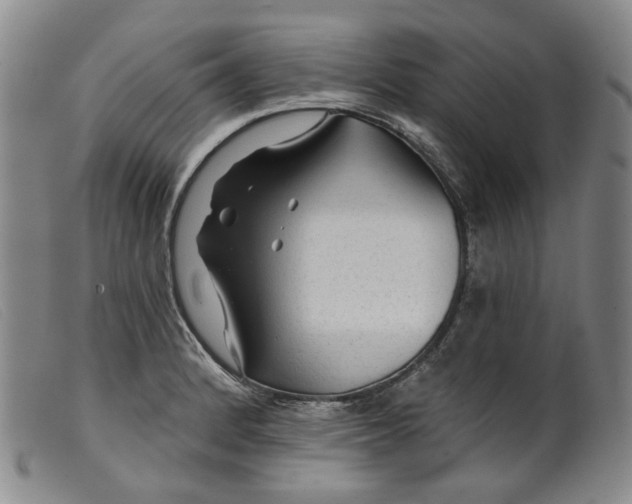 X0000099451184200805231734