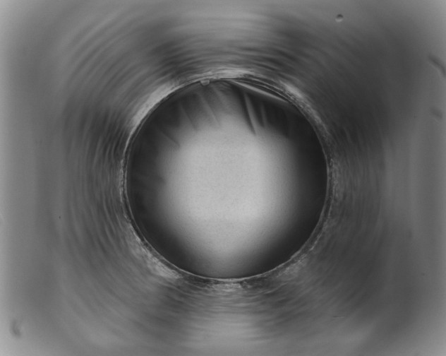 X0000099451186200805231734