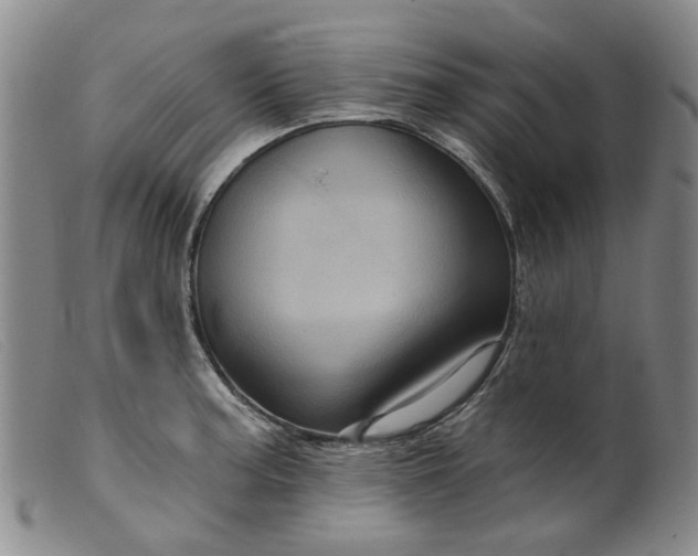 X0000099451187200805231734