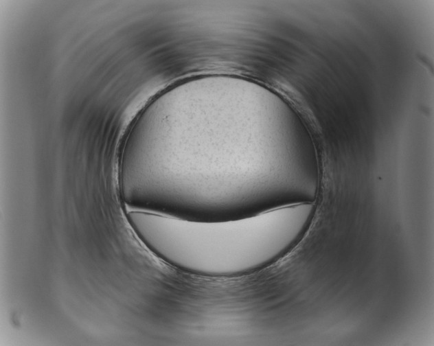 X0000099451188200805231734