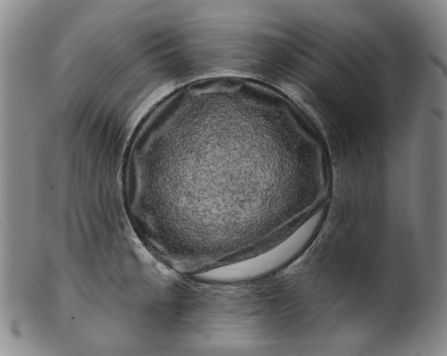 X0000099451189200805231734