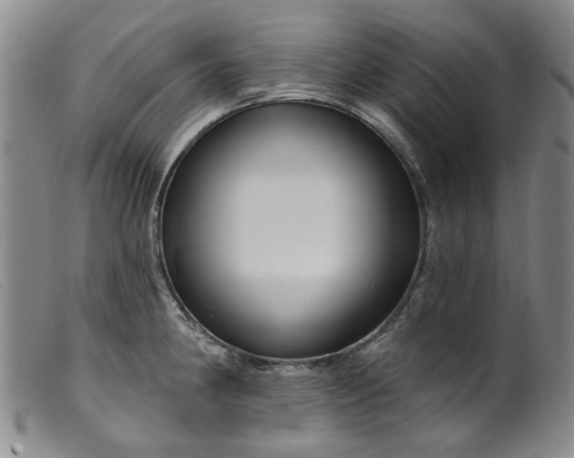 X0000099451190200805231734