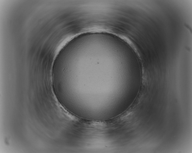 X0000099451191200805231734