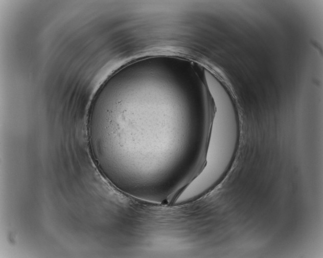 X0000099451192200805231734