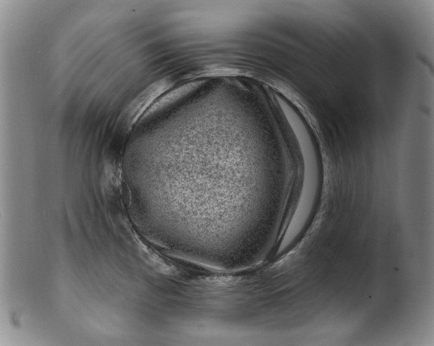 X0000099451193200805231734