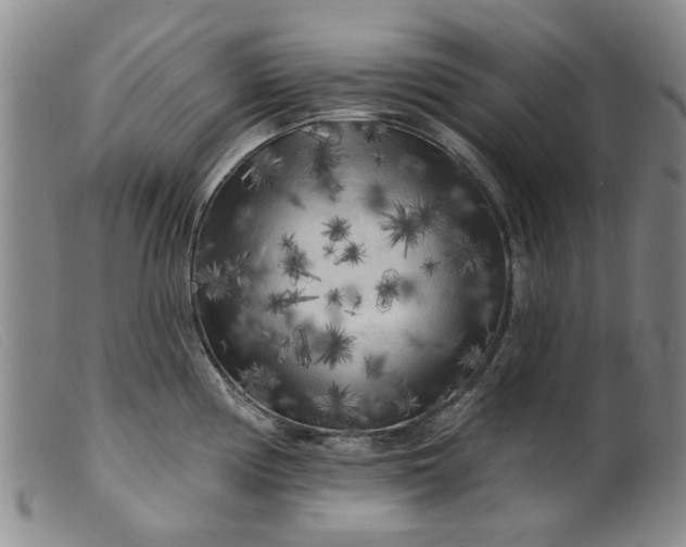 X0000099451194200805231734