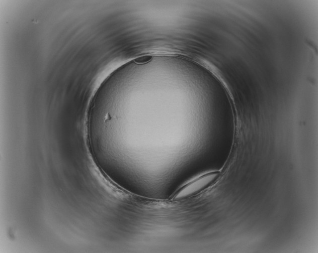 X0000099451195200805231734