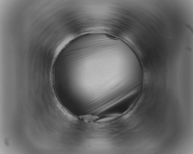 X0000099451196200805231734