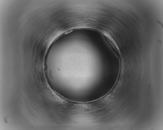 X0000099451197200805231734