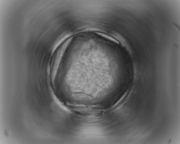 X0000099451198200805231734