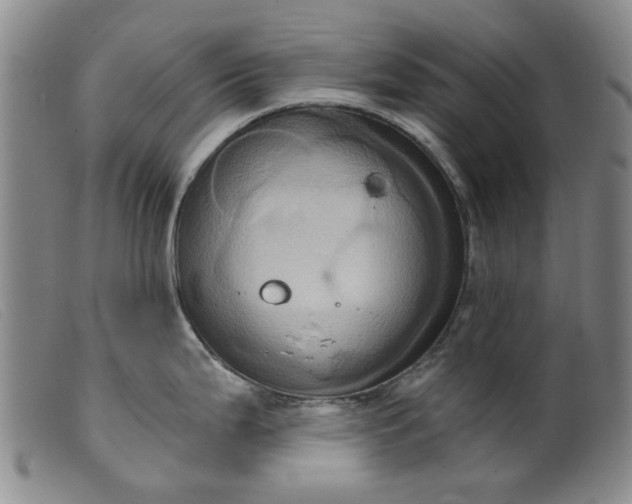 X0000099451199200805231734