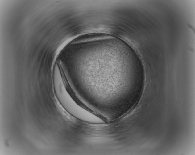 X0000099451200200805231734