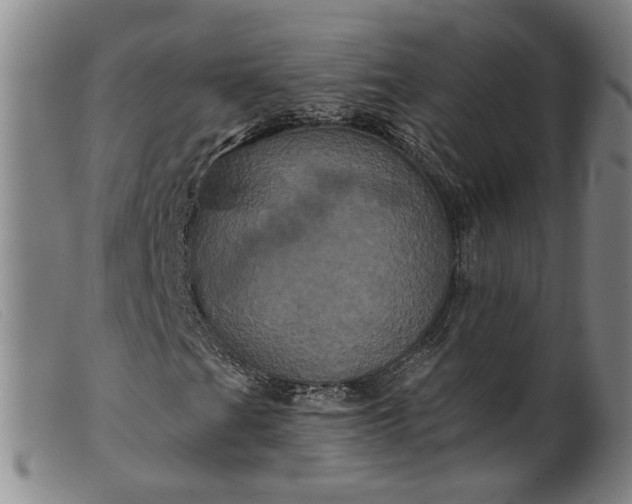 X0000099451201200805231733