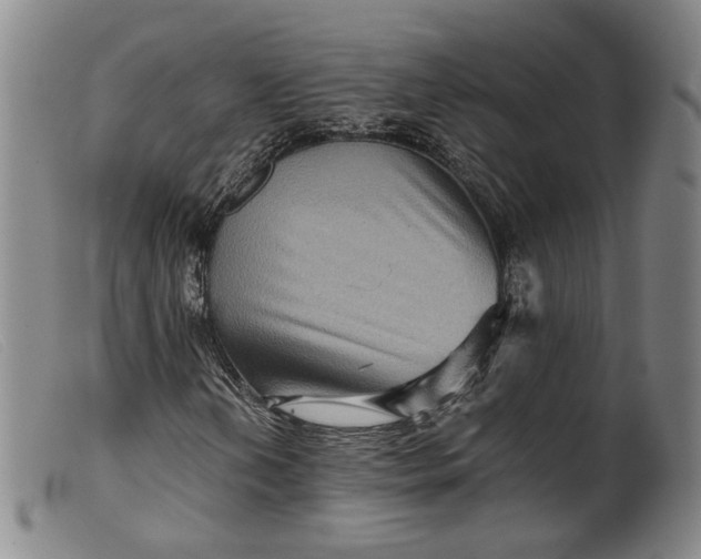 X0000099451202200805231733