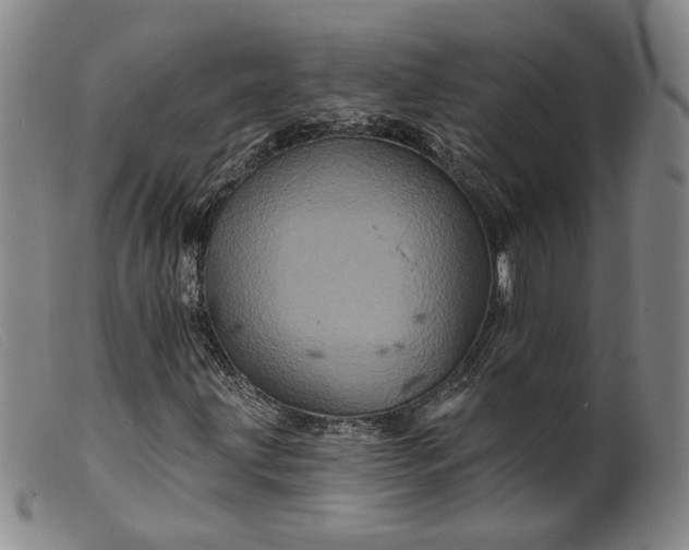 X0000099451203200805231733