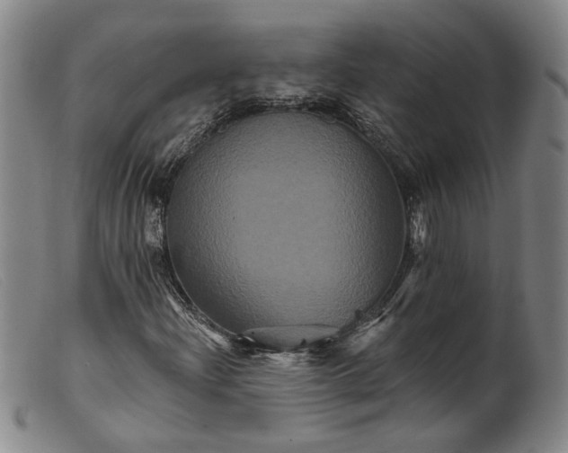 X0000099451204200805231733