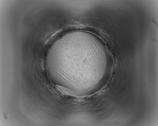 X0000099451205200805231733