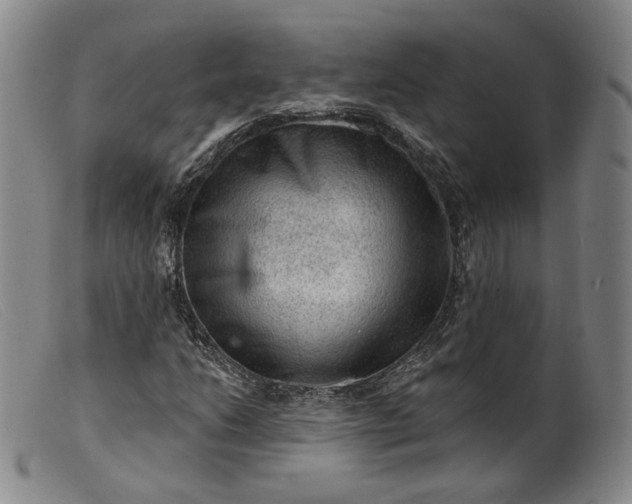 X0000099451206200805231733