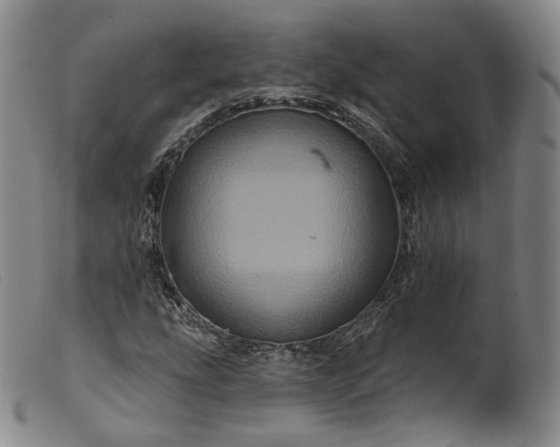 X0000099451207200805231733