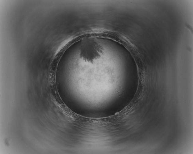 X0000099451208200805231733