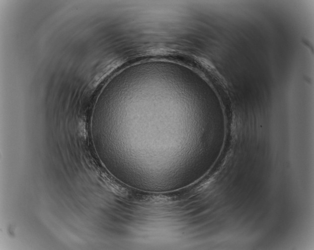 X0000099451209200805231733