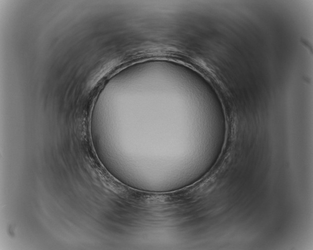 X0000099451211200805231733