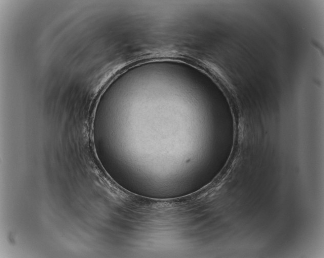 X0000099451212200805231733