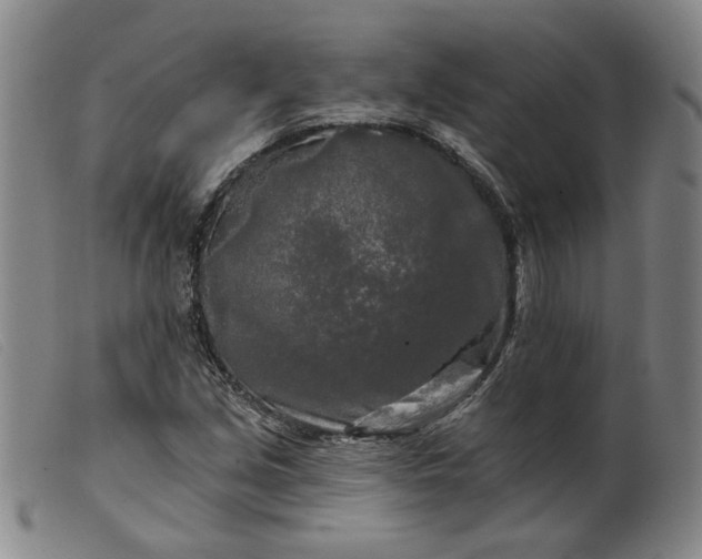 X0000099451213200805231733