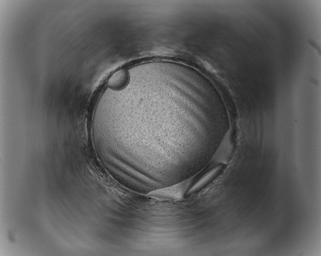 X0000099451214200805231733