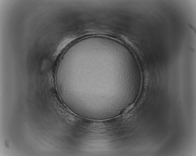 X0000099451215200805231733